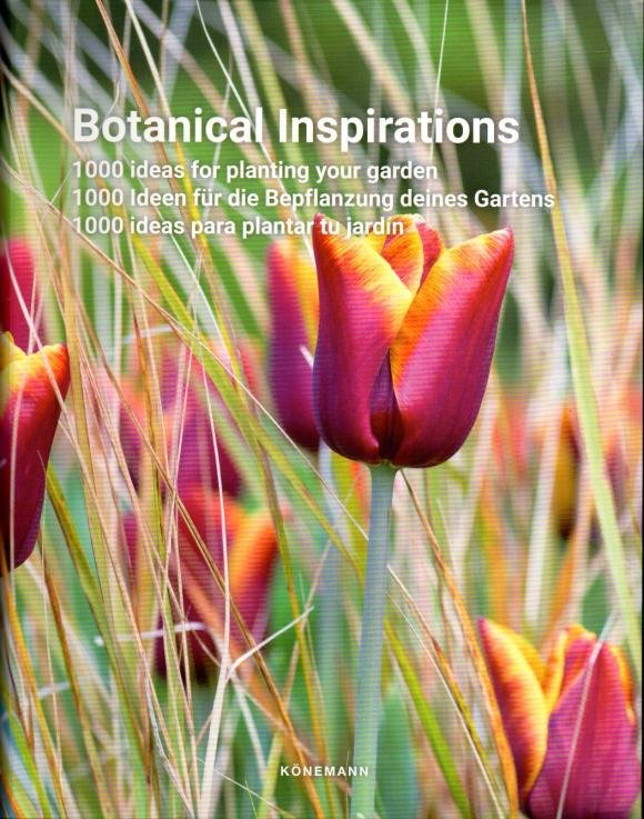 Botanical Inspirations
