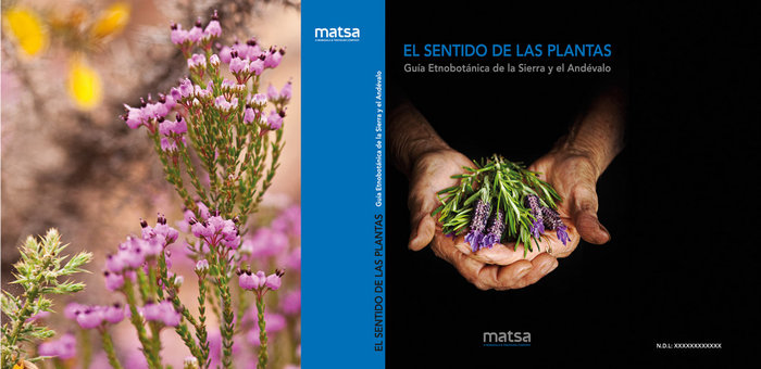 El Sentido De Las Plantas