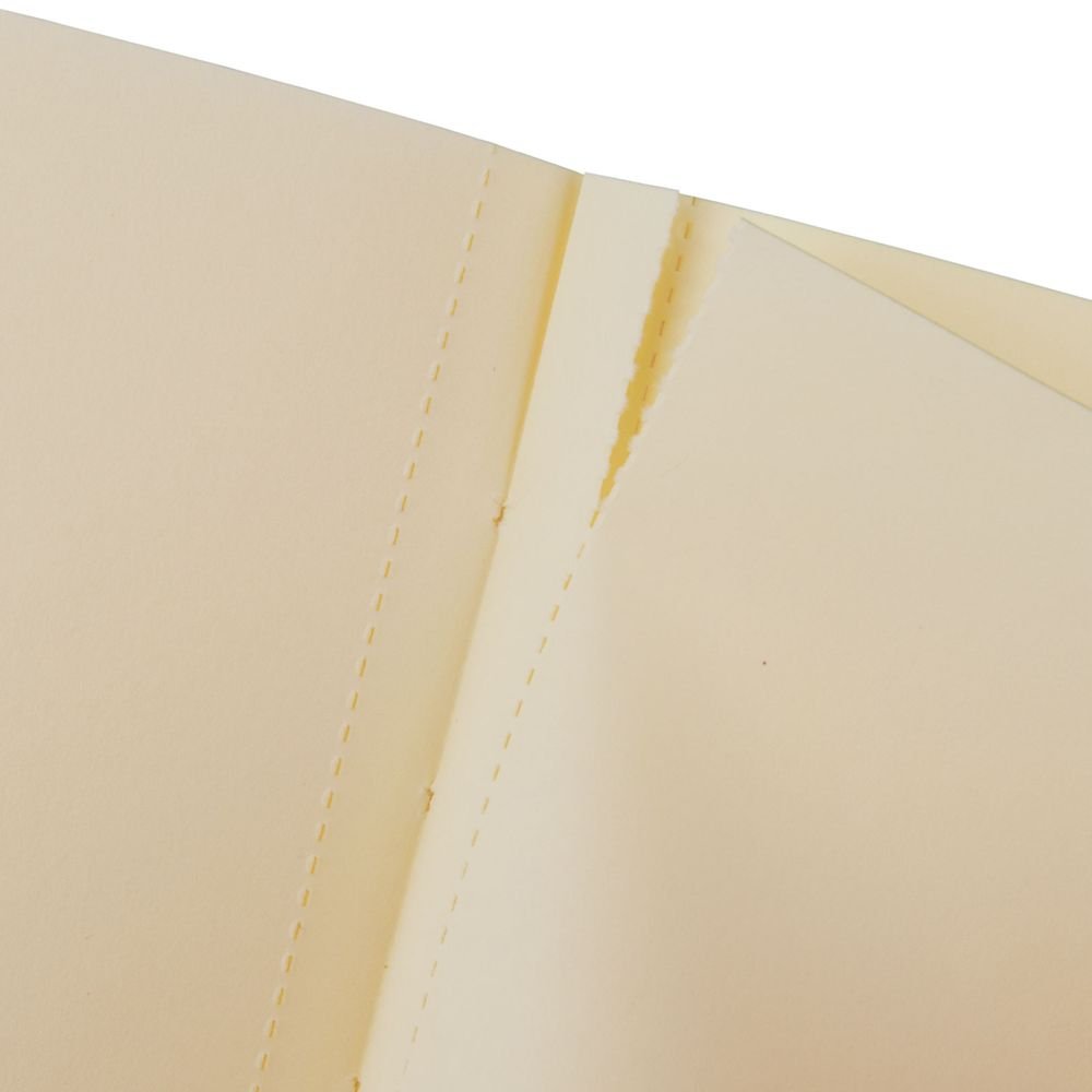 Finocan Cuaderno Tapa Dura Liso 80Gr 144Pag 176X250M Negro-2