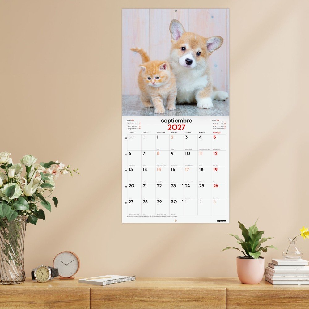 Finocam Calendario Pared 2027 30X30 Perros y Gatos-1