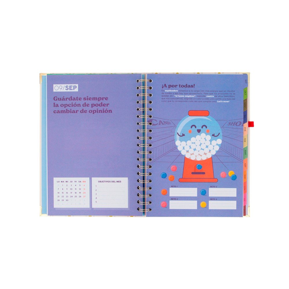 Mr Wonderful Agenda Escolar 26-27 Semanal Extragrande Haz que Cada Dia Cuente-6